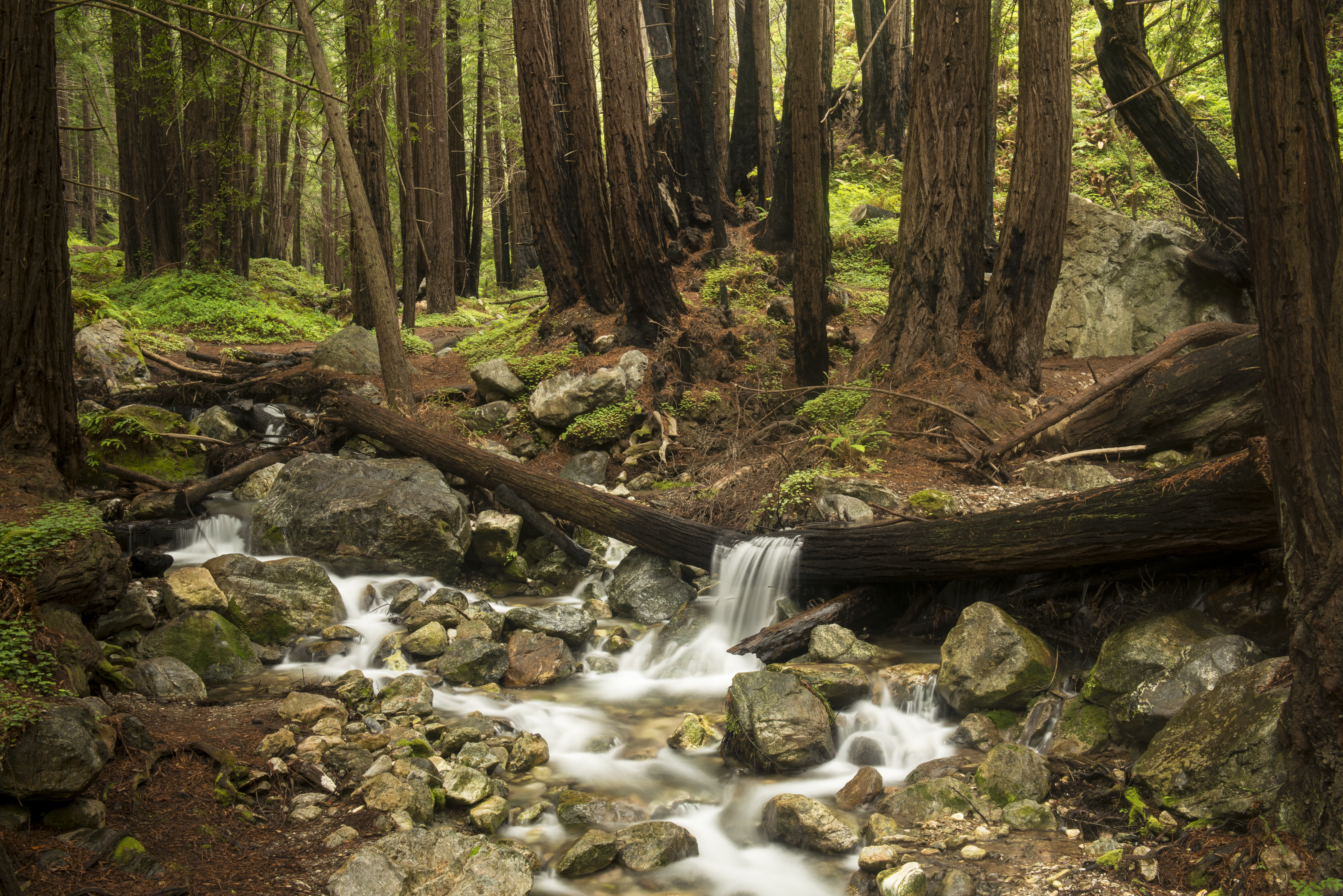 Limekiln State Park