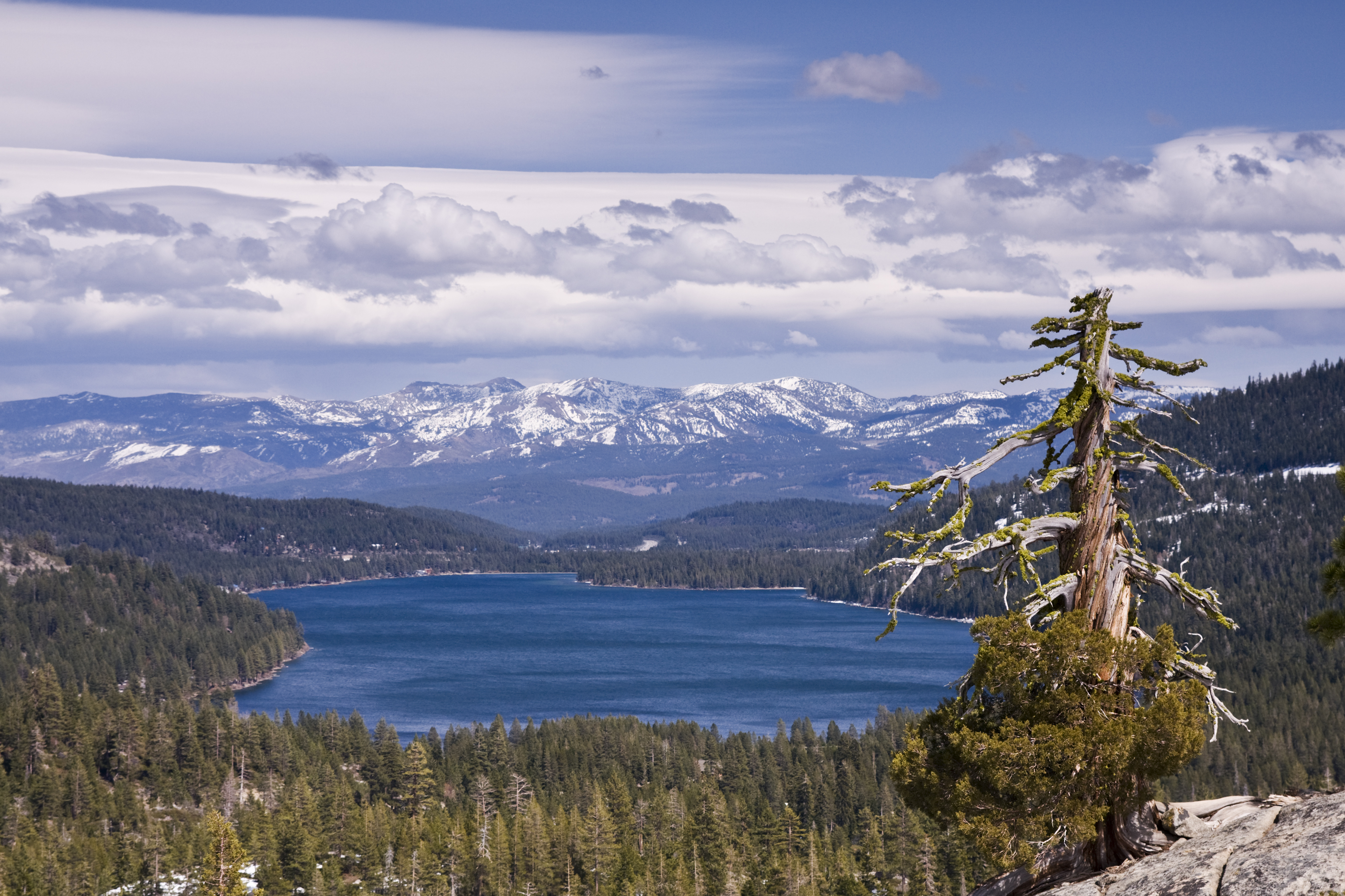 Donner Pass