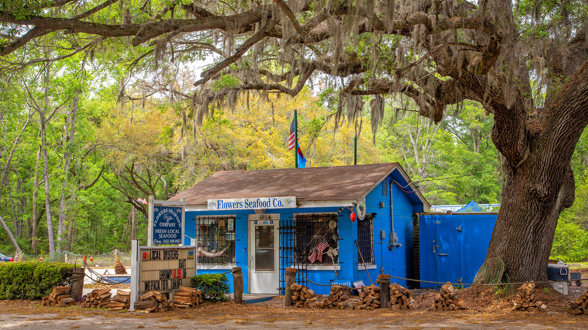 Edisto Island South Carolina Scenic Drive